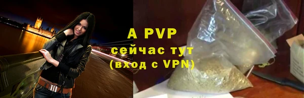apvp Белокуриха
