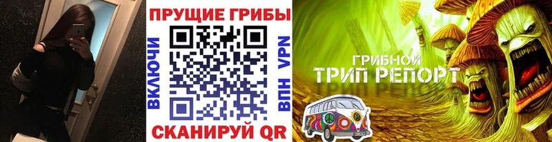 Псилоцибиновые грибы Psilocybe  Козельск 
